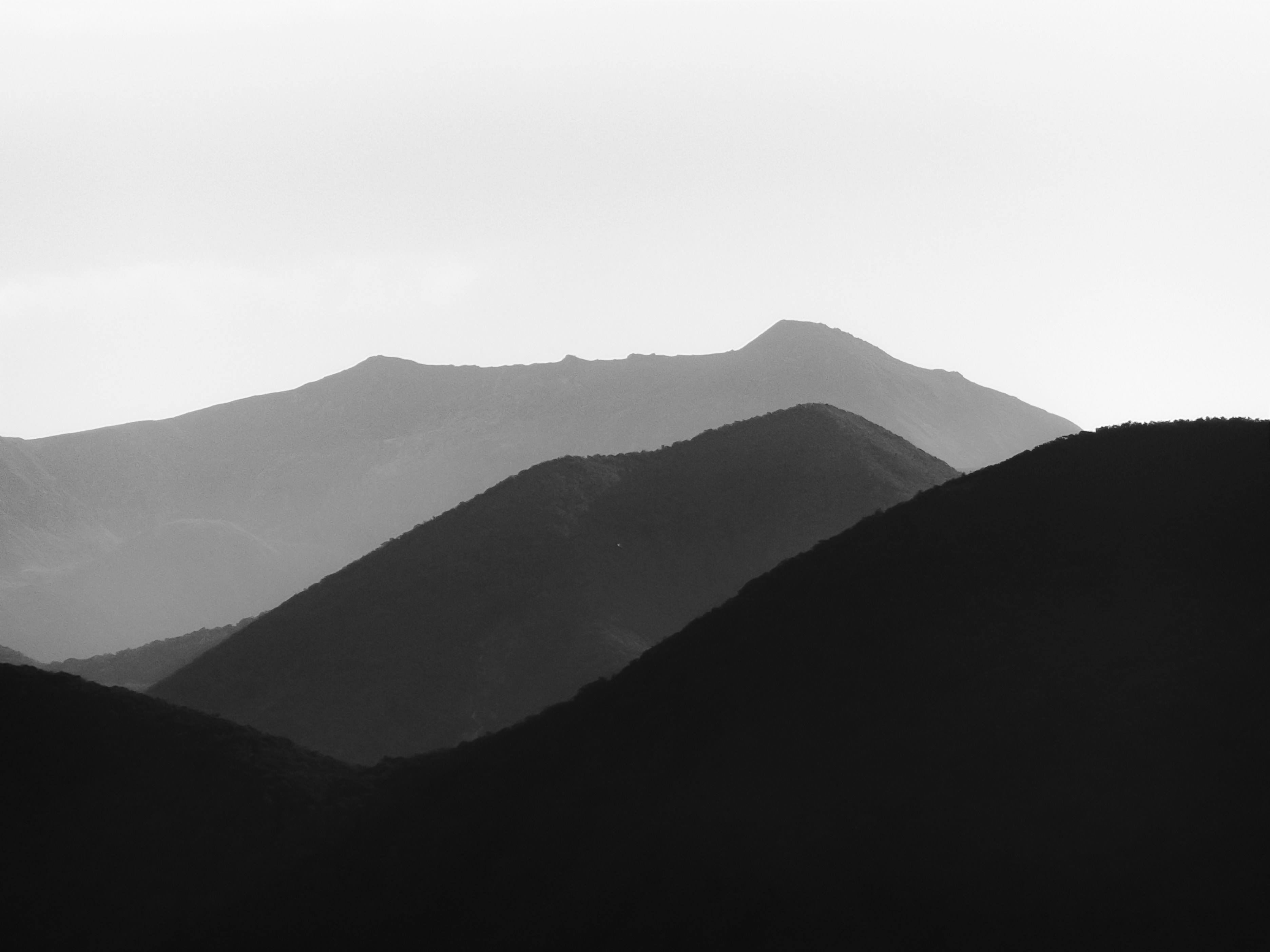 霧に包まれた山