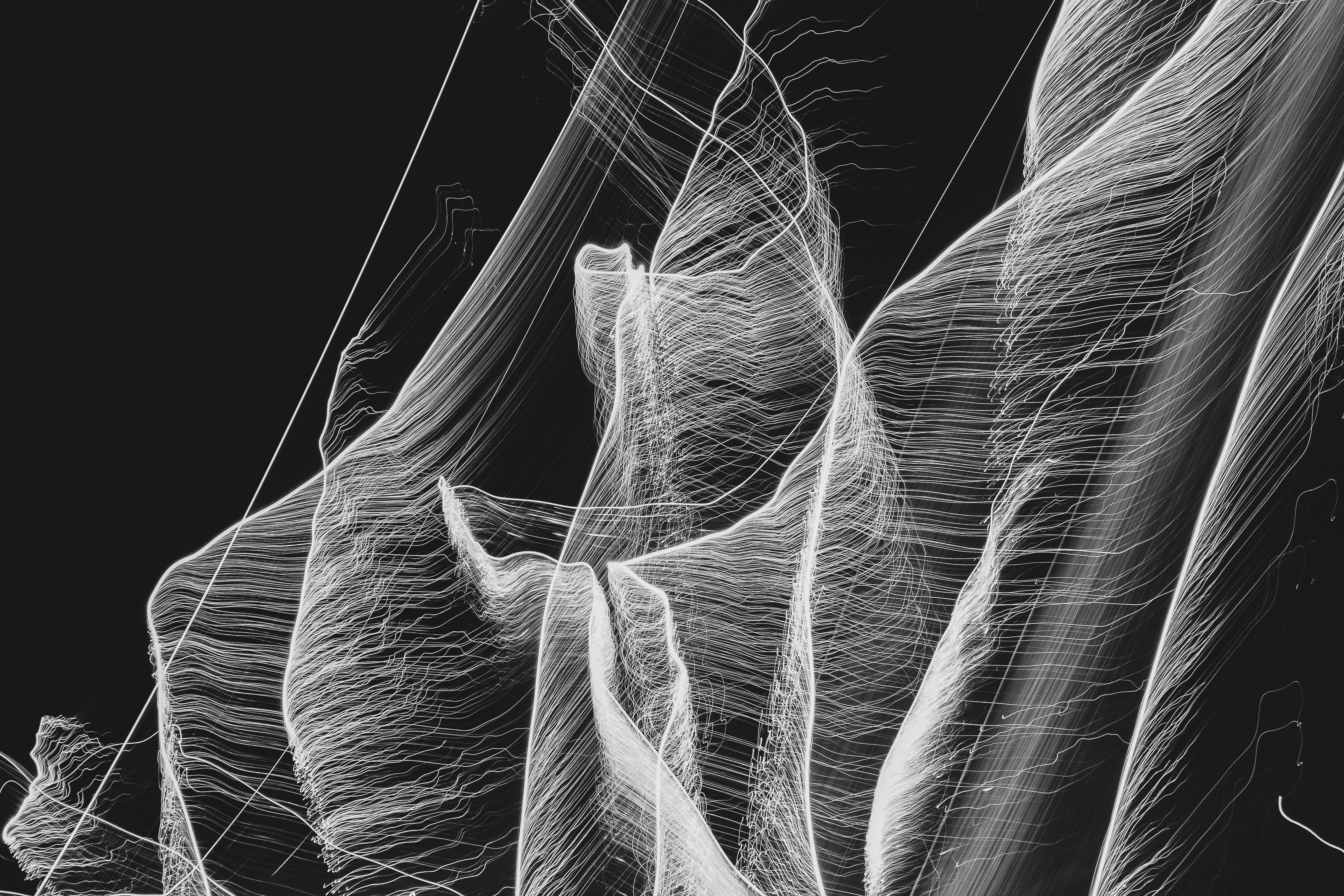 白と黒の抽象画